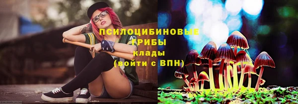 круглые Белокуриха