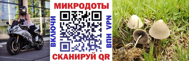 маркетплейс Telegram  Томари  Галлюциногенные грибы мицелий  где купить   blacksprut  