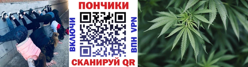 купить   Томари  Марихуана SATIVA & INDICA 